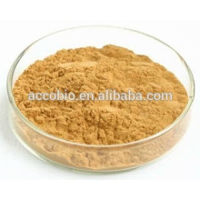 food grade high quality Hoodia Cactus Extract 10:1